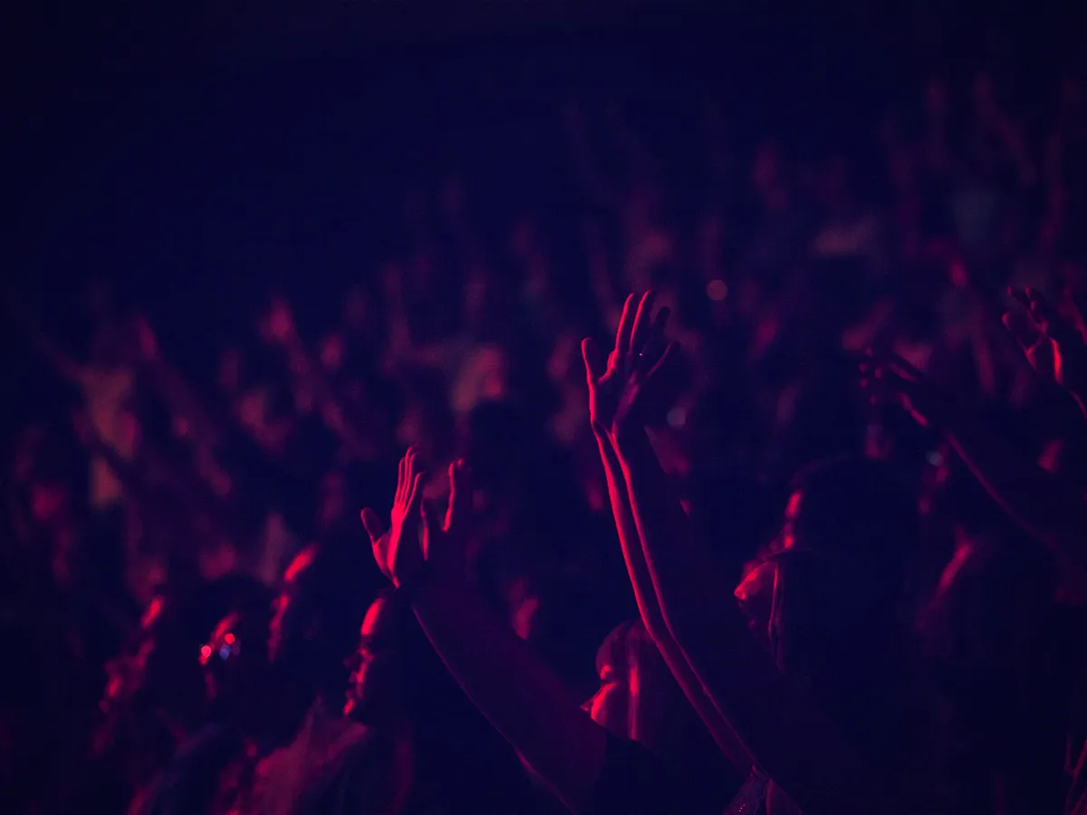 Concert audience enjoying a live performance